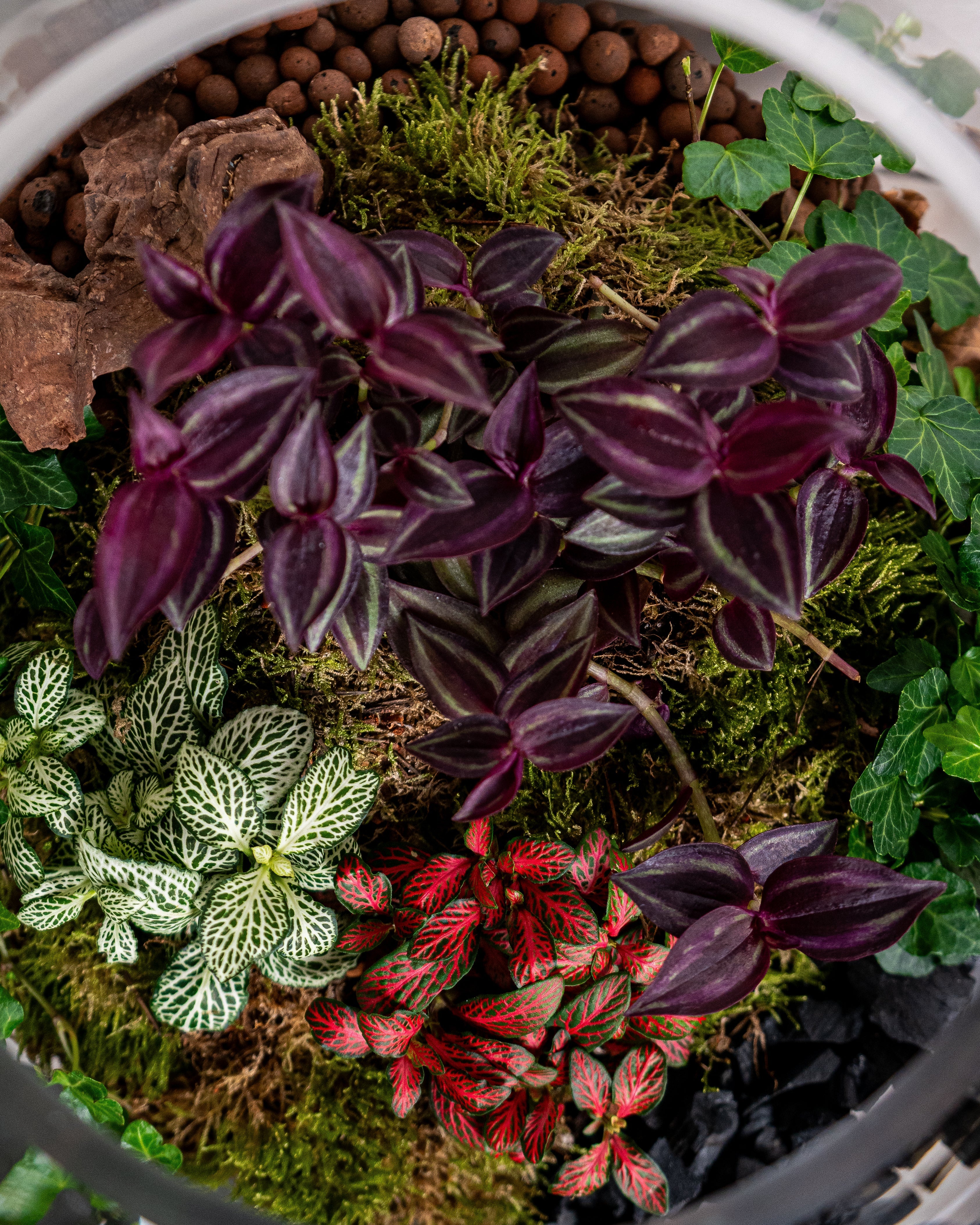 Cheerful Foliage Terrarium - Large - Uniflora