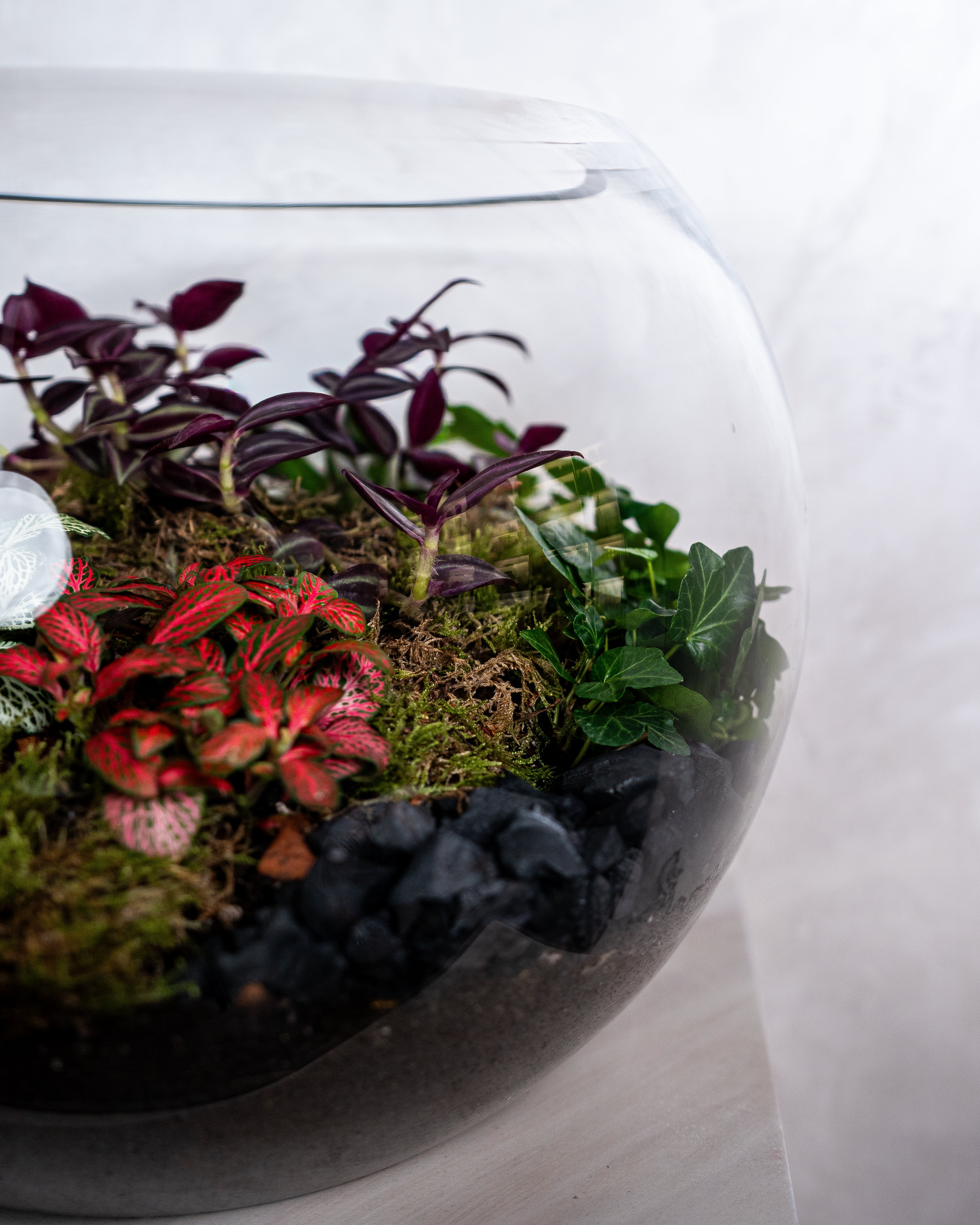 Cheerful Foliage Terrarium - Large - Uniflora