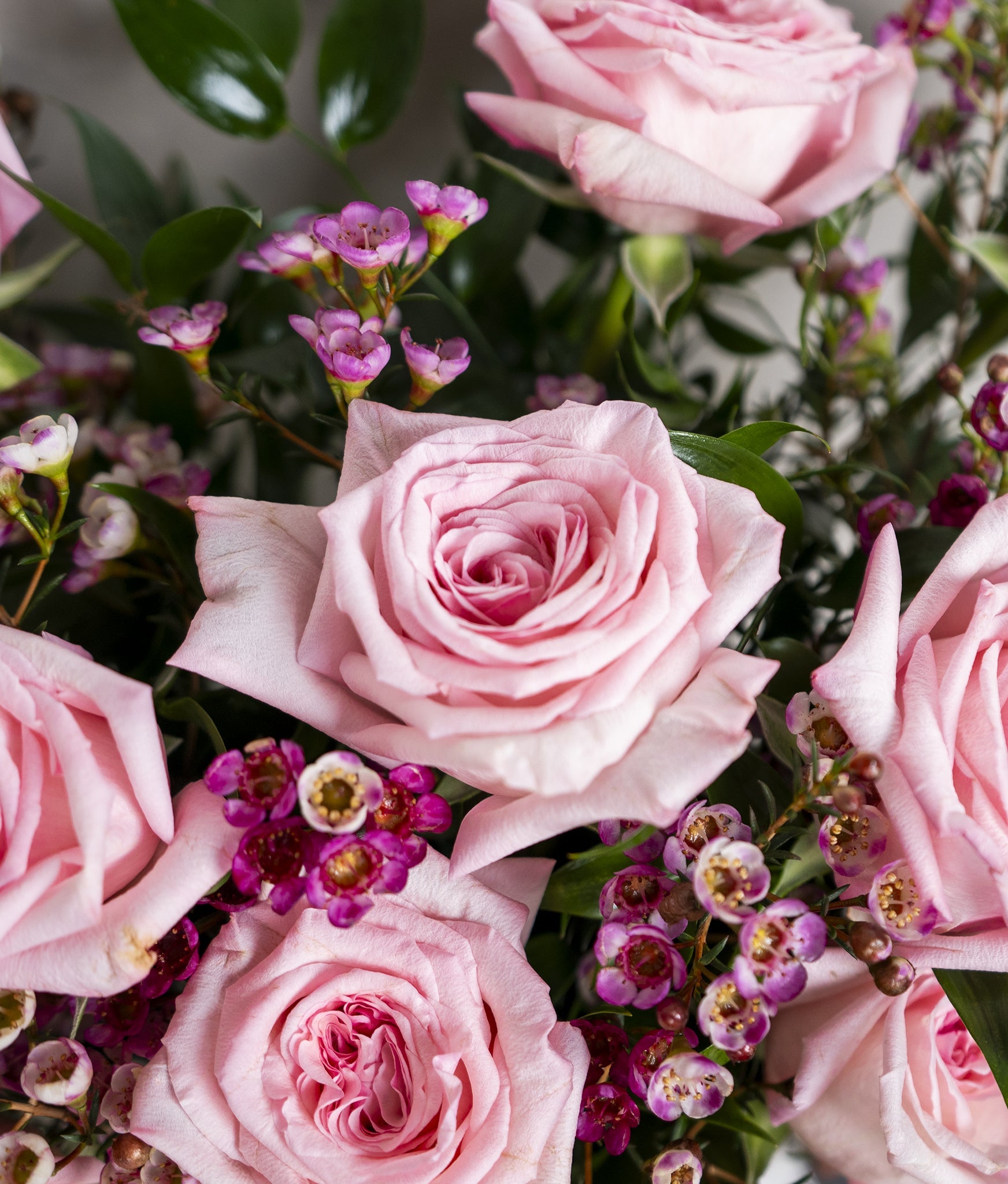 Classic Roses in Vase - Uniflora