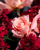Crimson Chrysanthemum - Uniflora