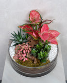 Crimson Garden - Uniflora