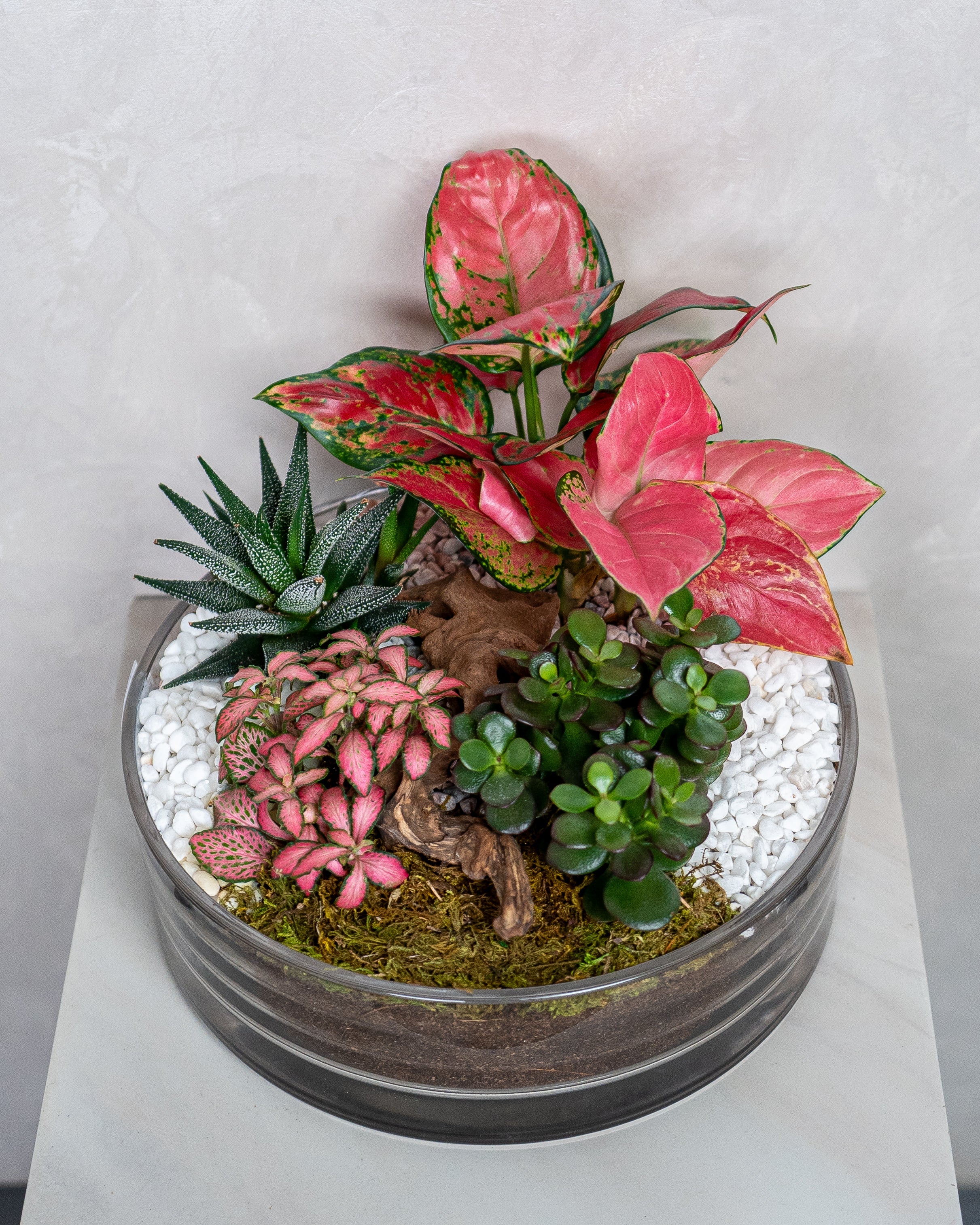 Crimson Garden - Uniflora