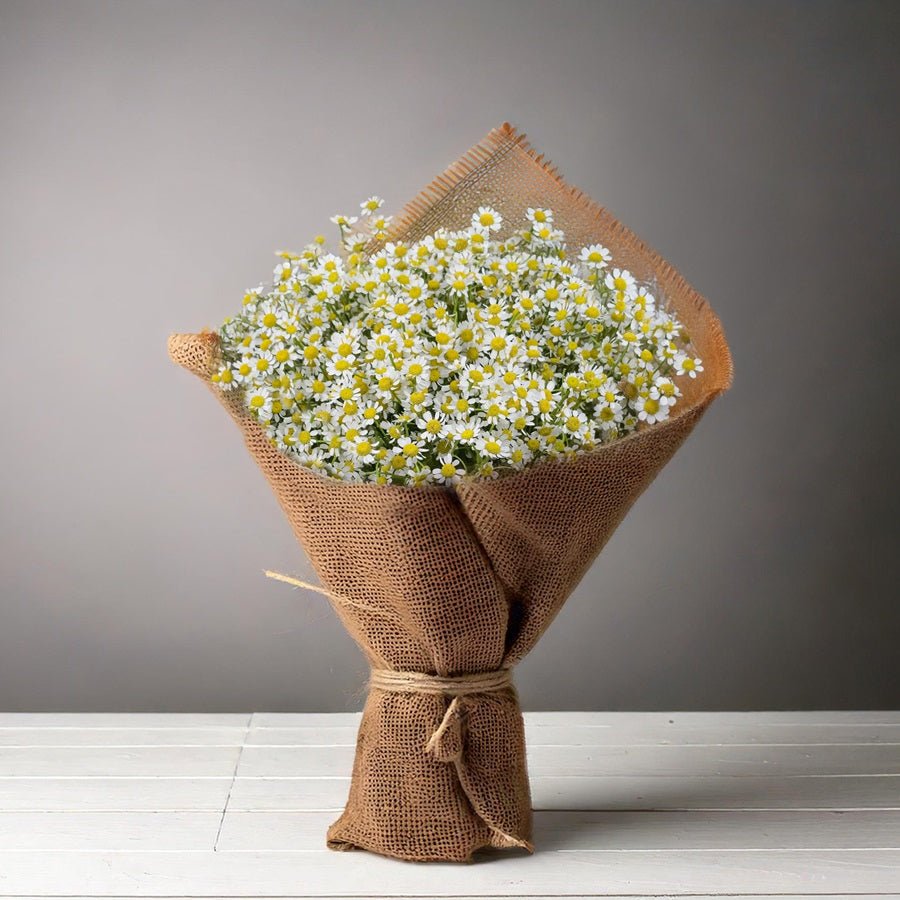 Crystal Chamomile - Uniflora