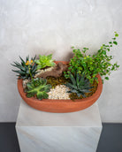 Desert Garden - Uniflora