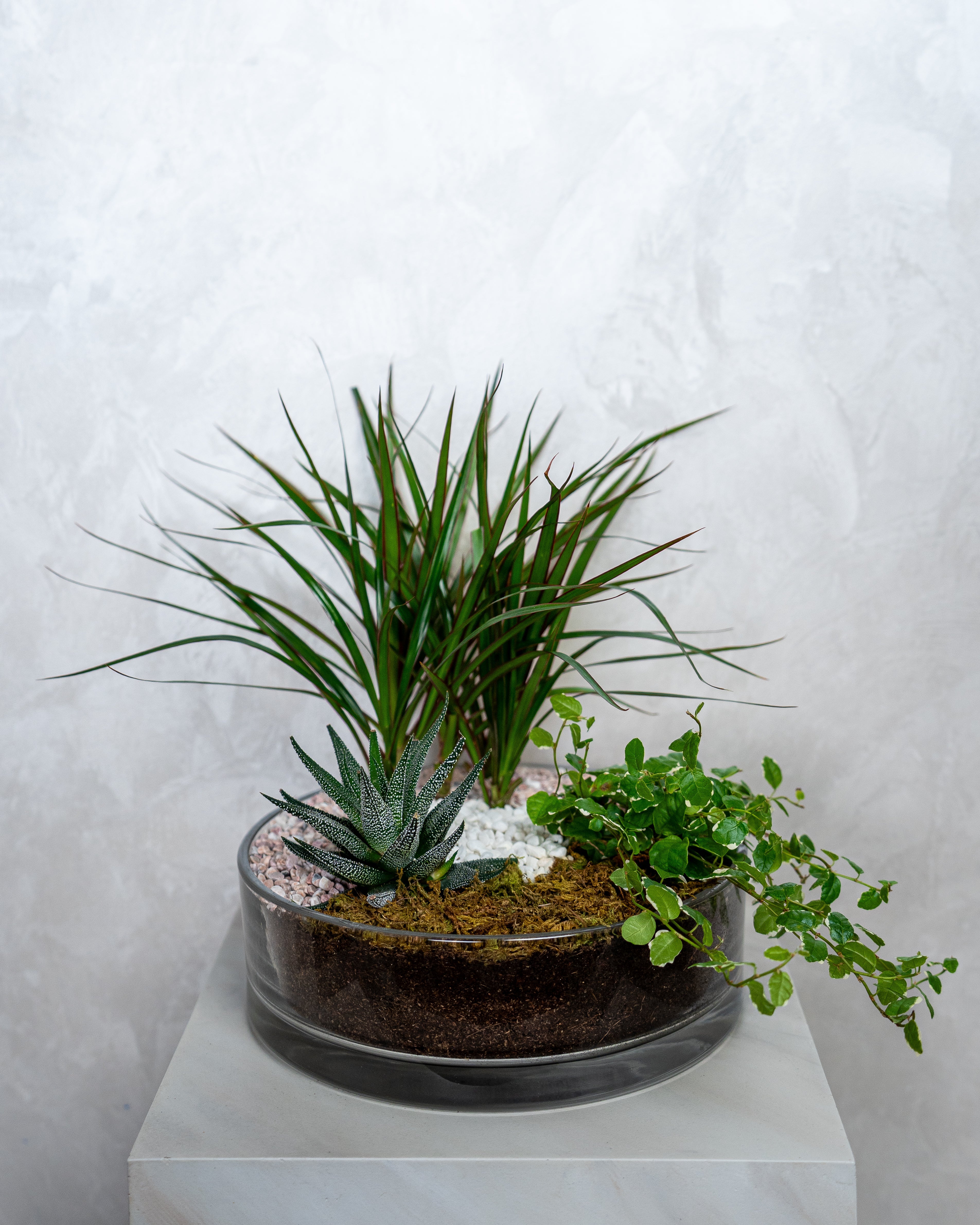 Element Garden - Uniflora