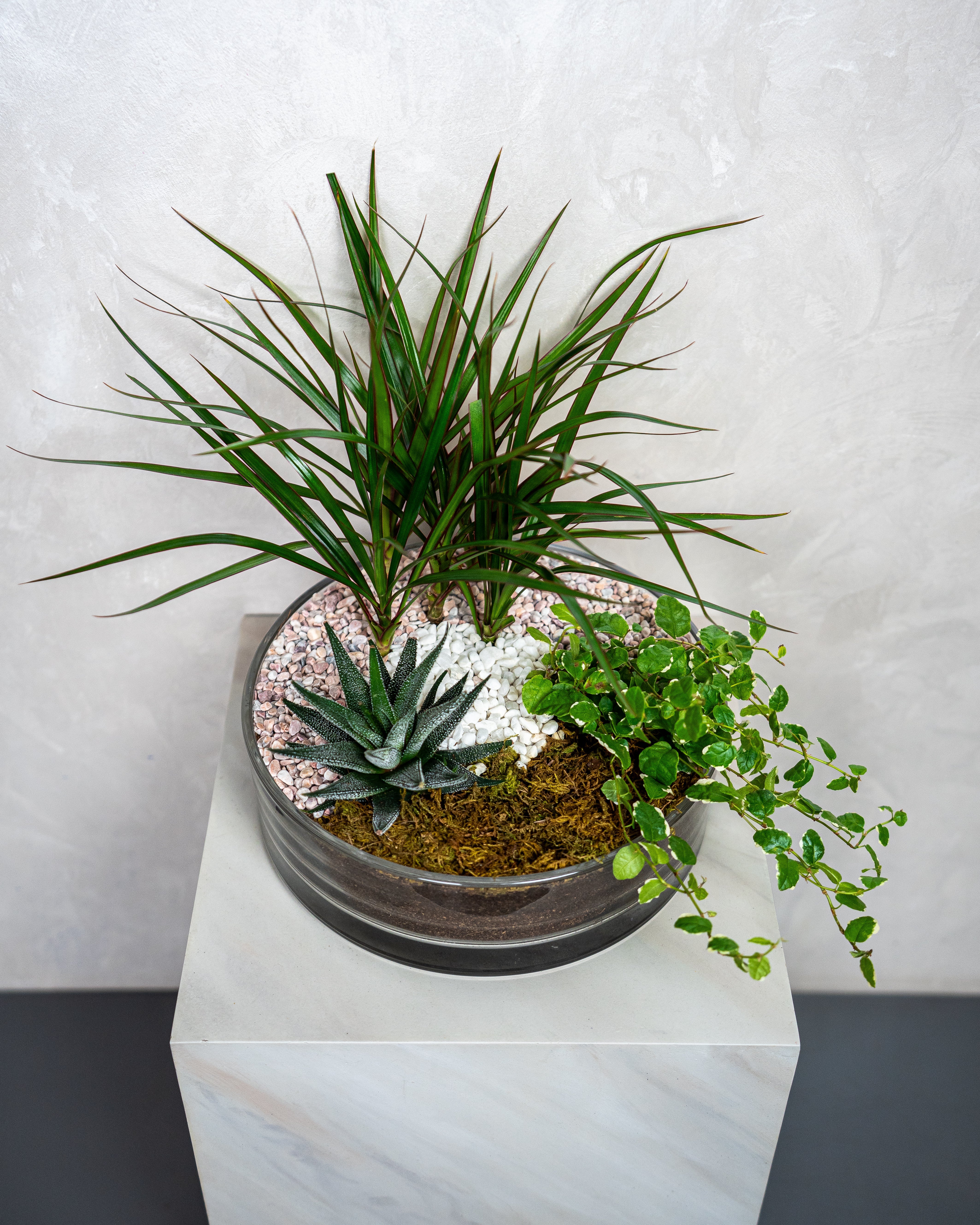 Element Garden - Uniflora