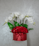 Eternal Contrast - Uniflora