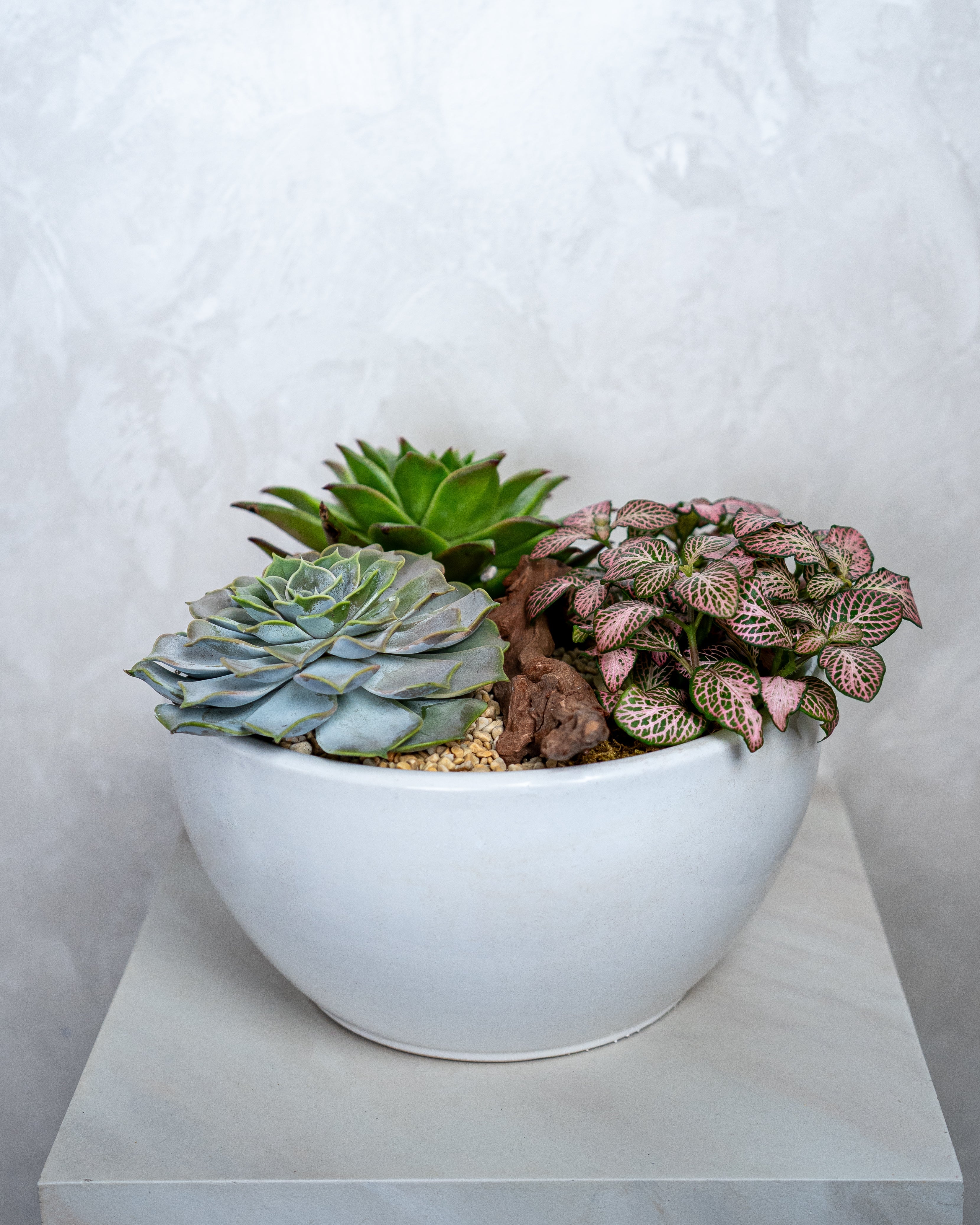 Floral Garden - Uniflora