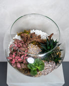 Glass Garden - Uniflora