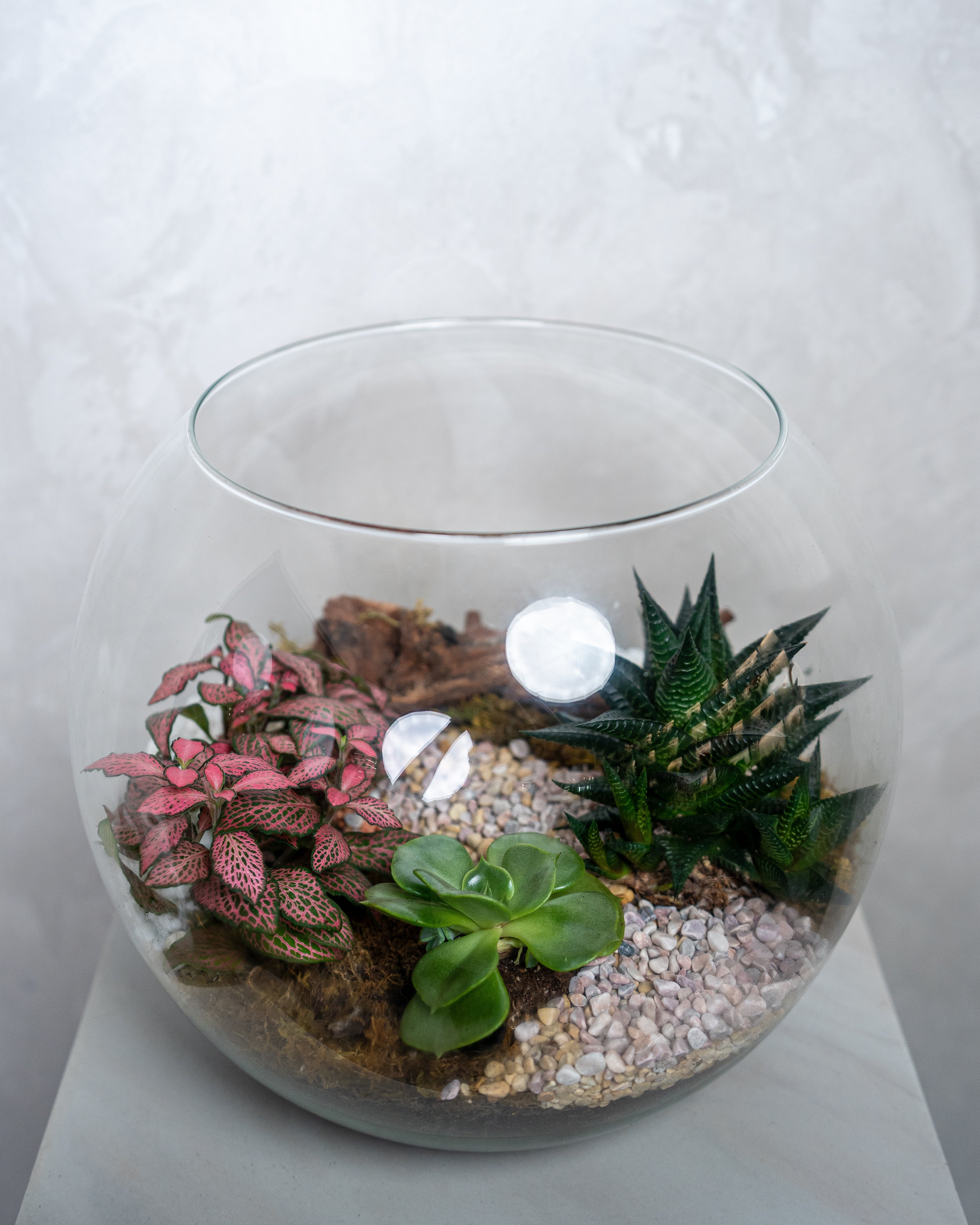 Glass Garden - Uniflora