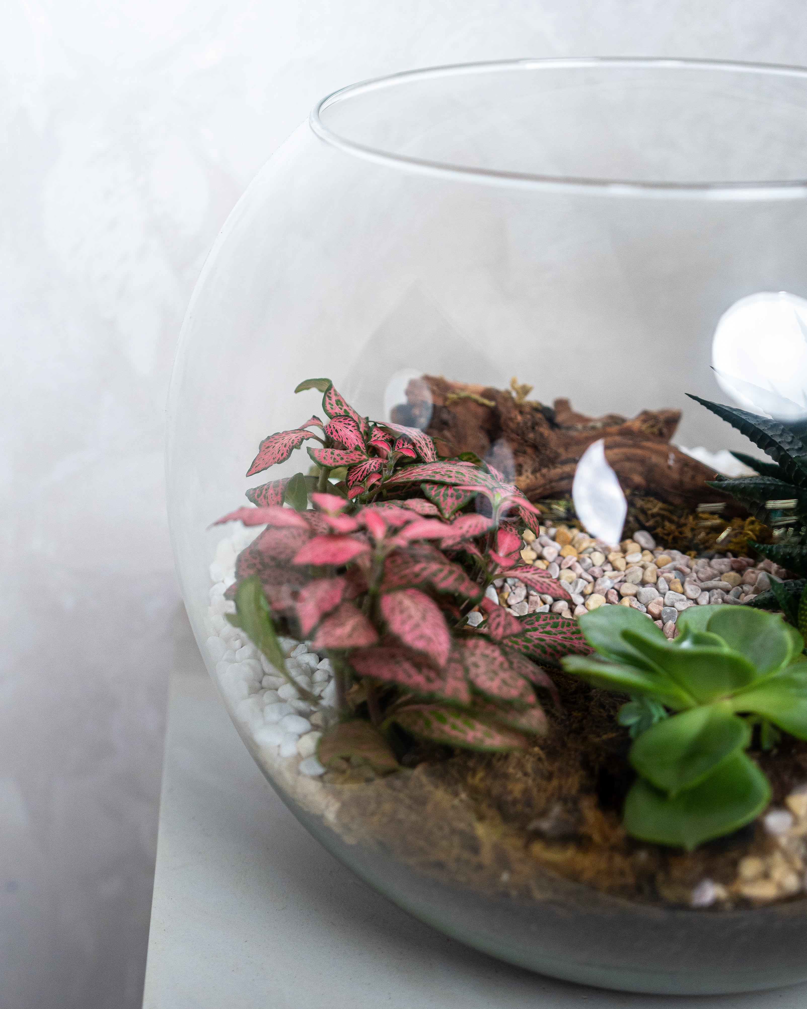 Glass Garden - Uniflora