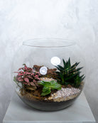 Glass Garden - Uniflora
