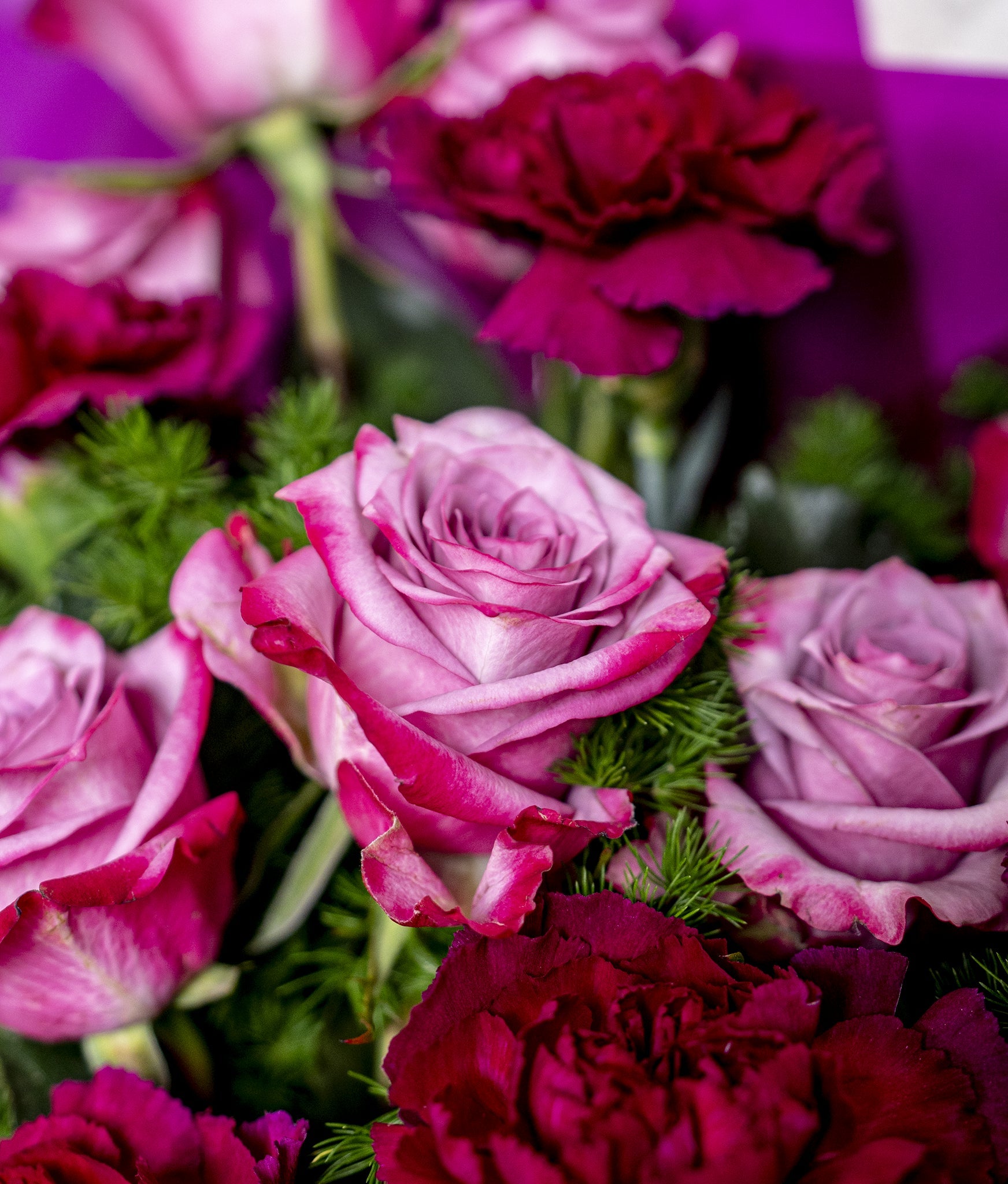 Gorgeous Roses - Uniflora