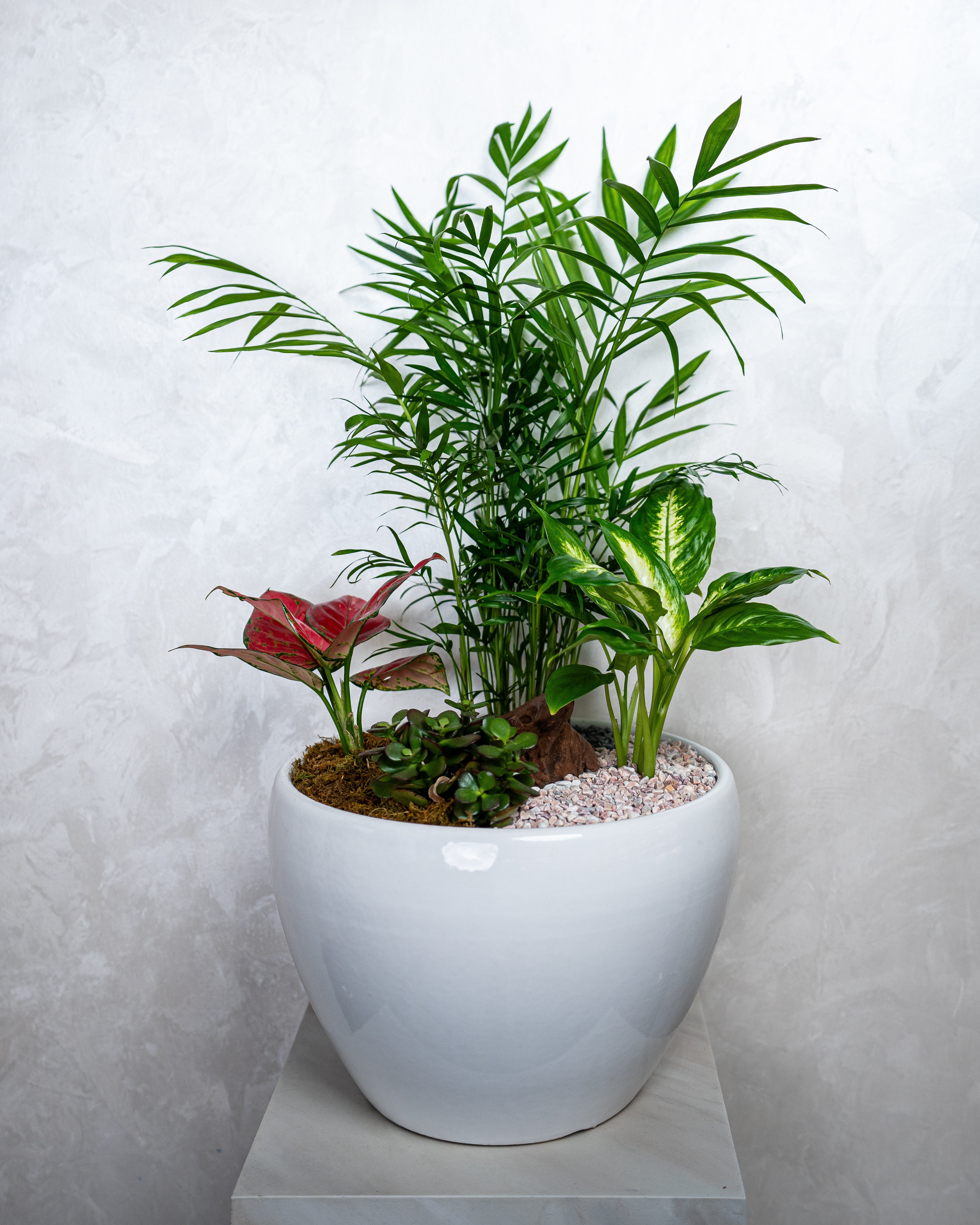 Grand Garden - Uniflora