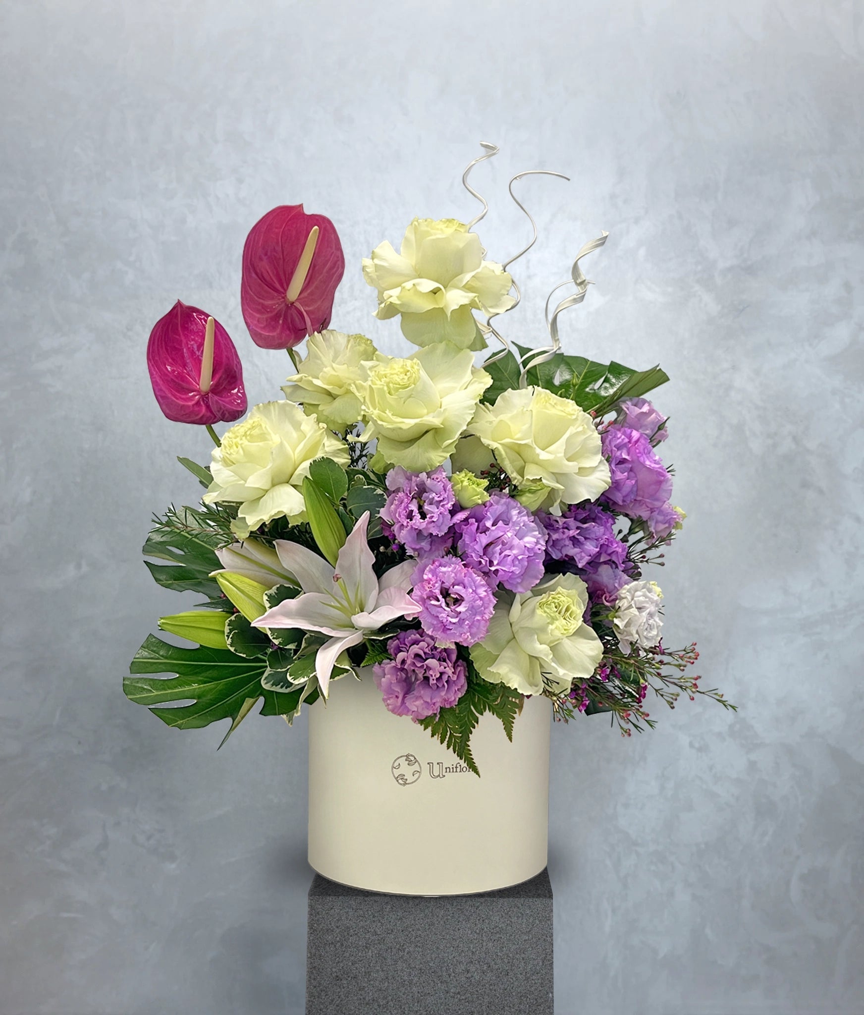 Lavender Mist - Uniflora
