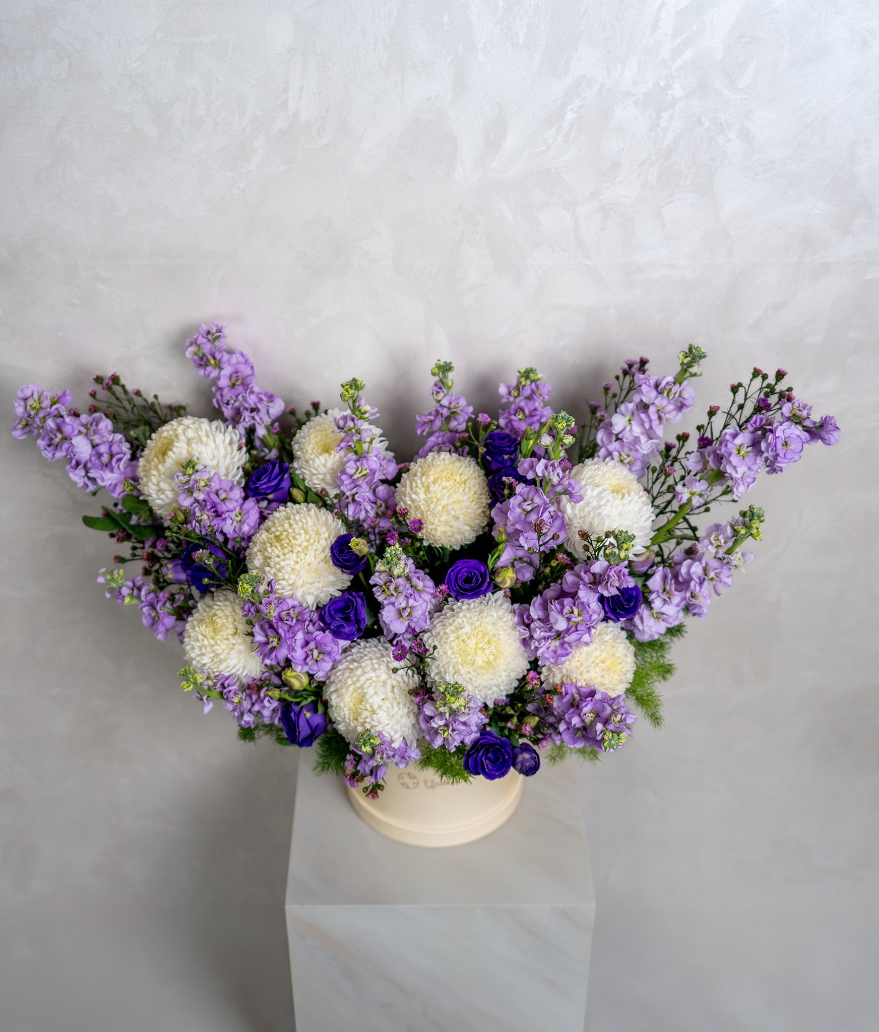 Lilac Blooms - Uniflora