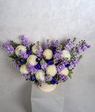Lilac Blooms - Uniflora