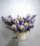 Lilac Blooms - Uniflora