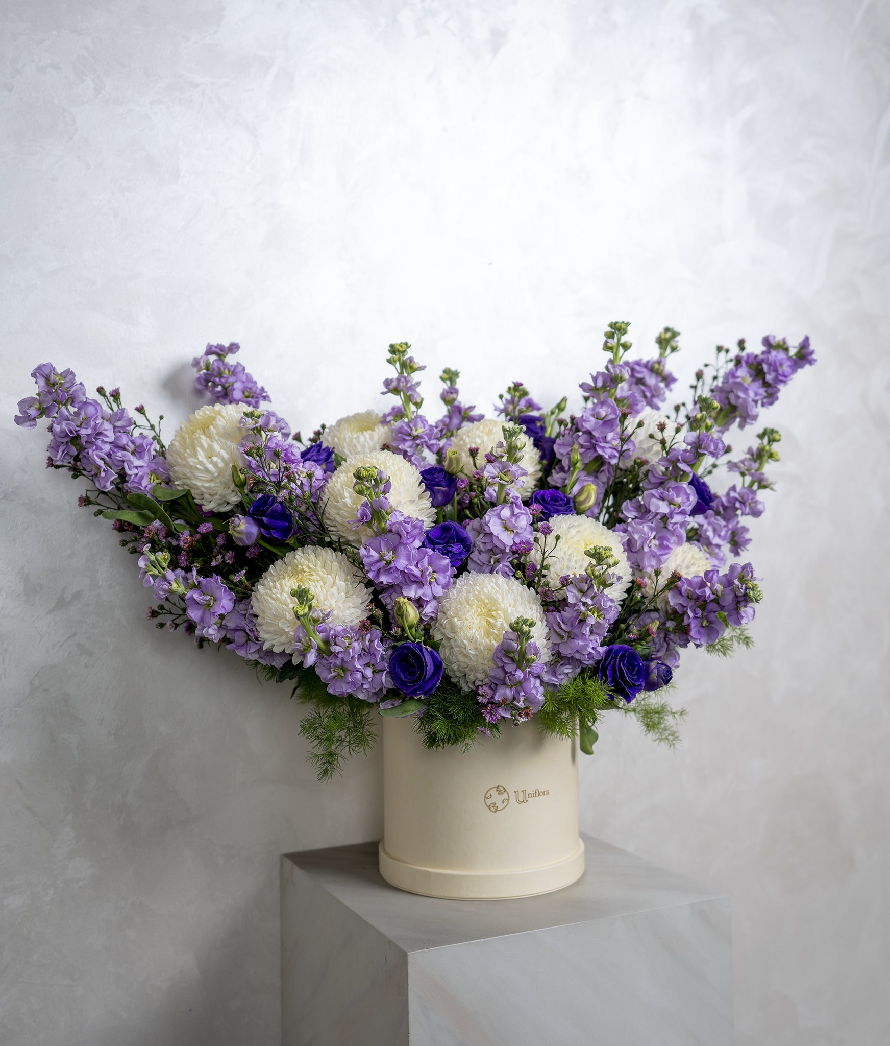 Lilac Blooms - Uniflora
