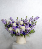 Lilac Blooms - Uniflora