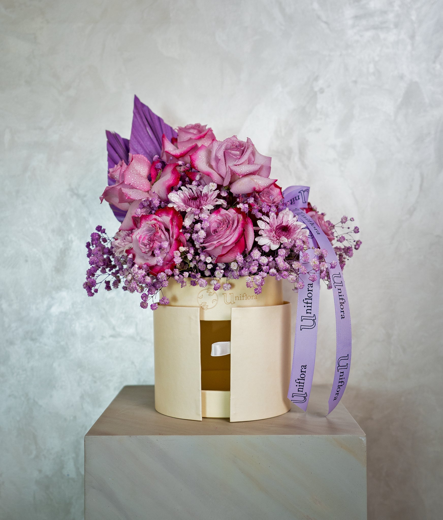 Midnight Violet - Uniflora