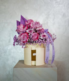 Midnight Violet - Uniflora