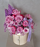 Midnight Violet - Uniflora