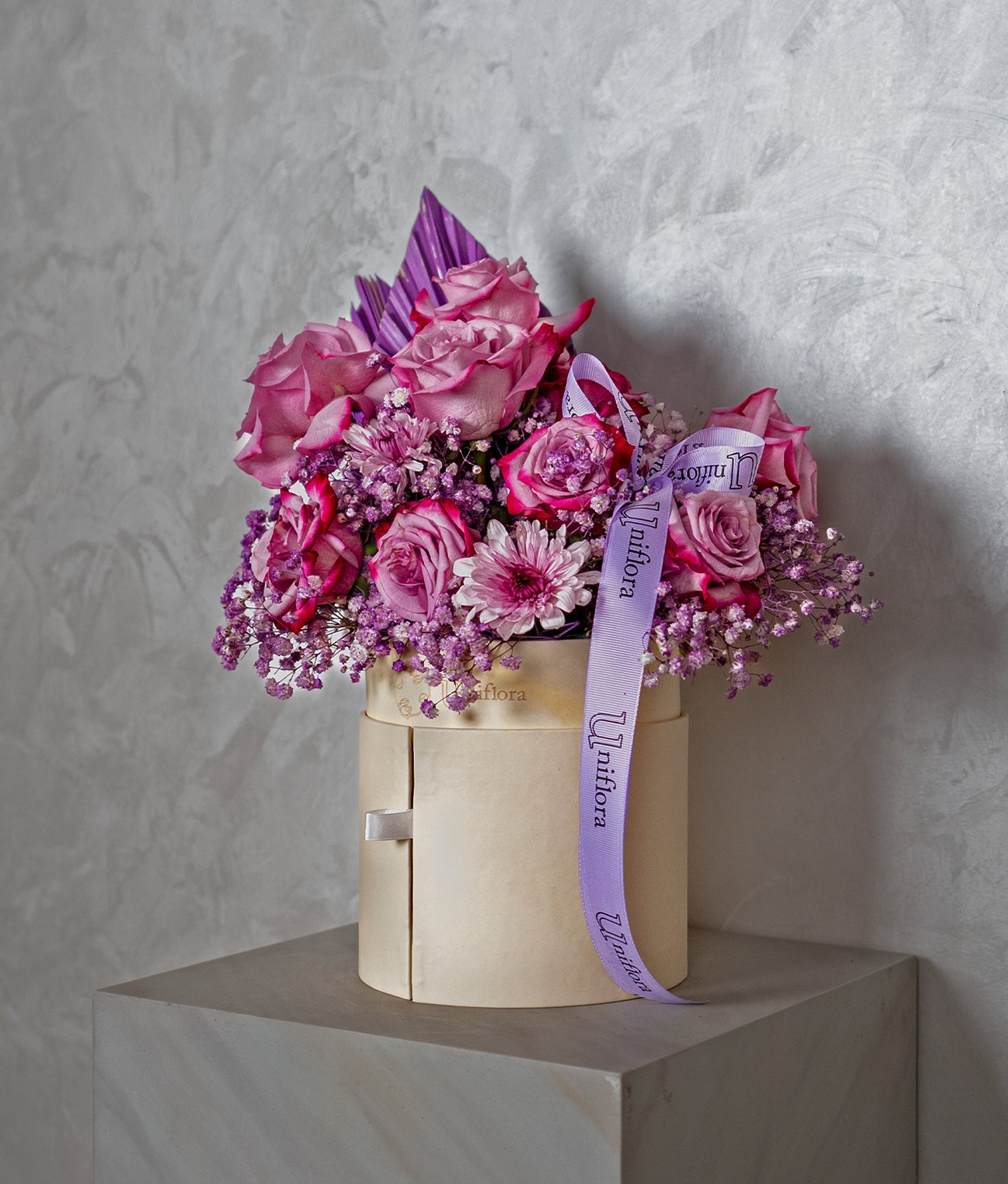 Midnight Violet - Uniflora