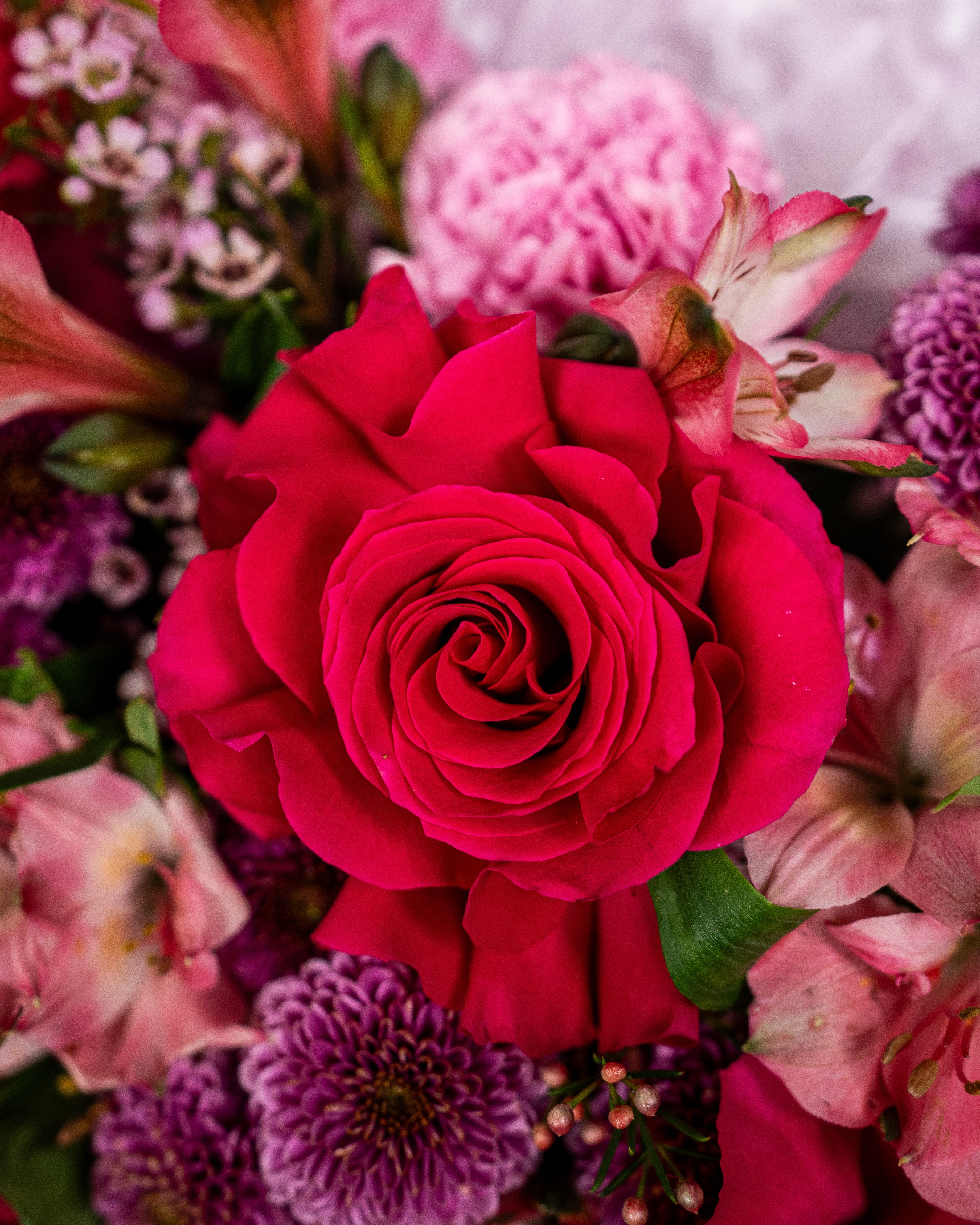 Pink Floyd Rose Bouquet - Uniflora