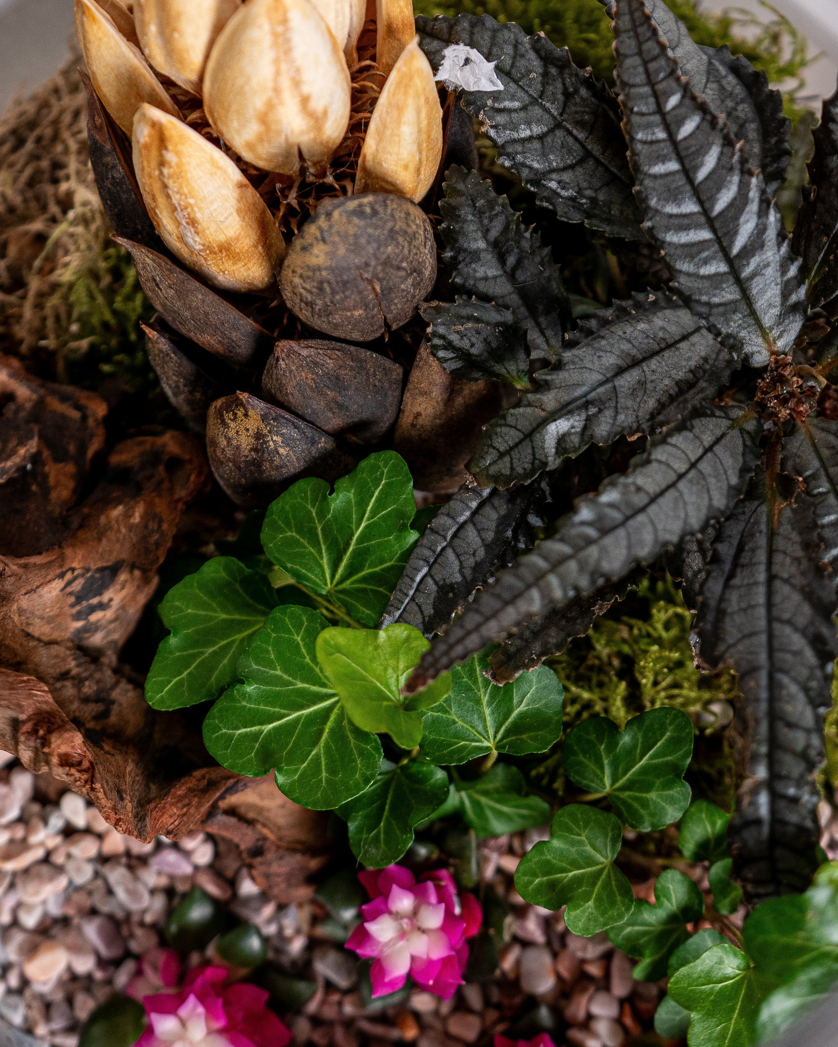 Pink Garden Terrarium - Medium - Uniflora
