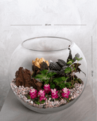 Pink Garden Terrarium - Medium - Uniflora