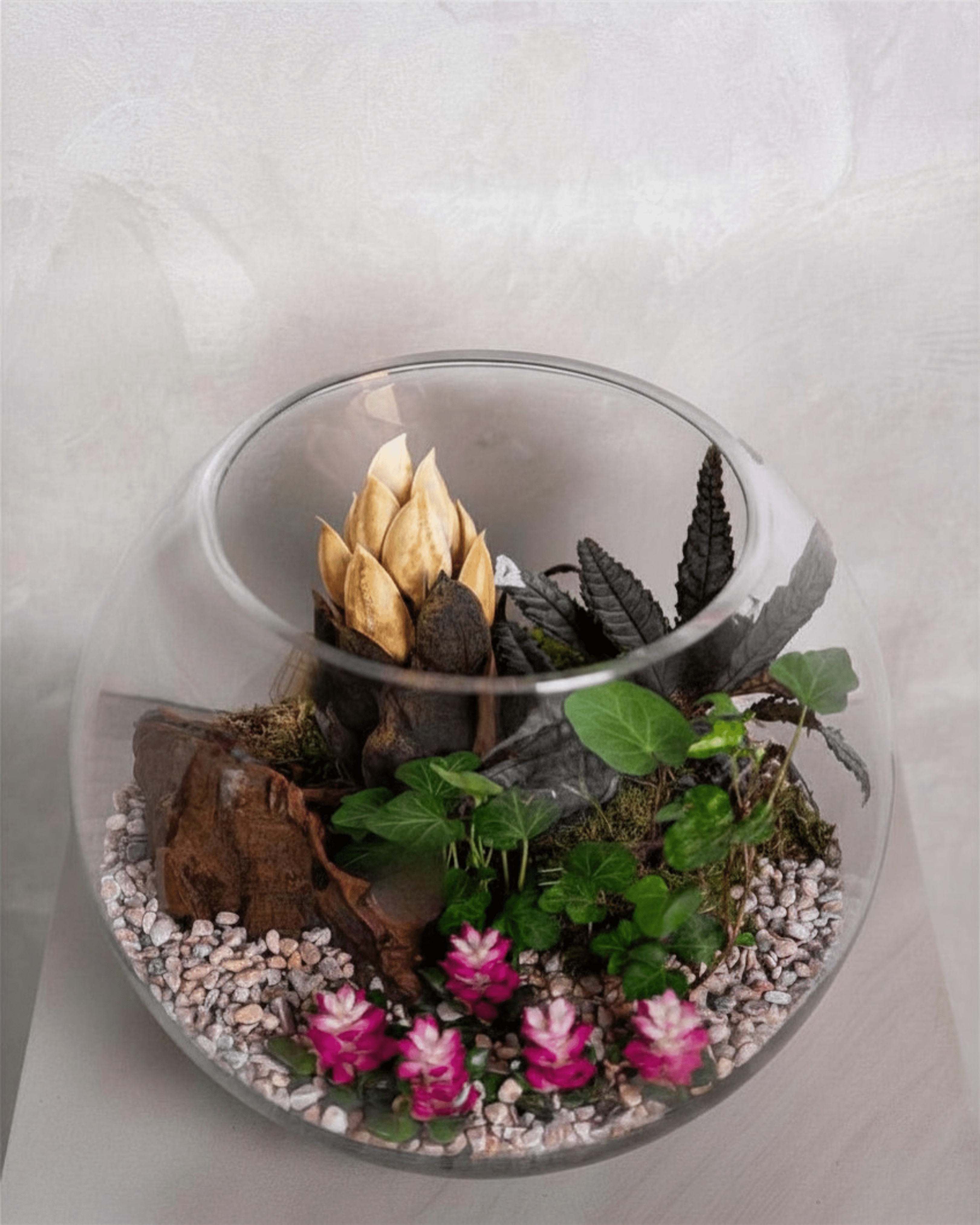 Pink Garden Terrarium - Medium - Uniflora