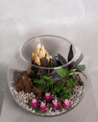 Pink Garden Terrarium - Medium - Uniflora