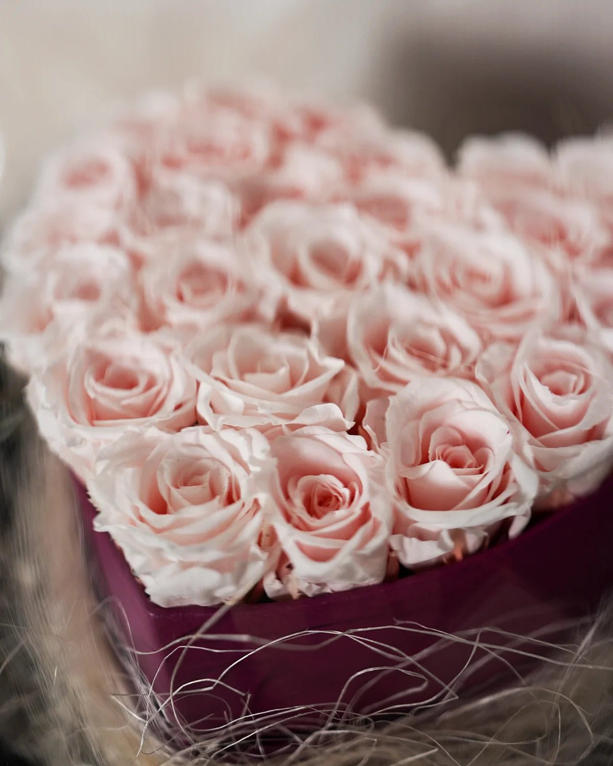 Pink heart - Infinity Rose Glass Dome - Uniflora