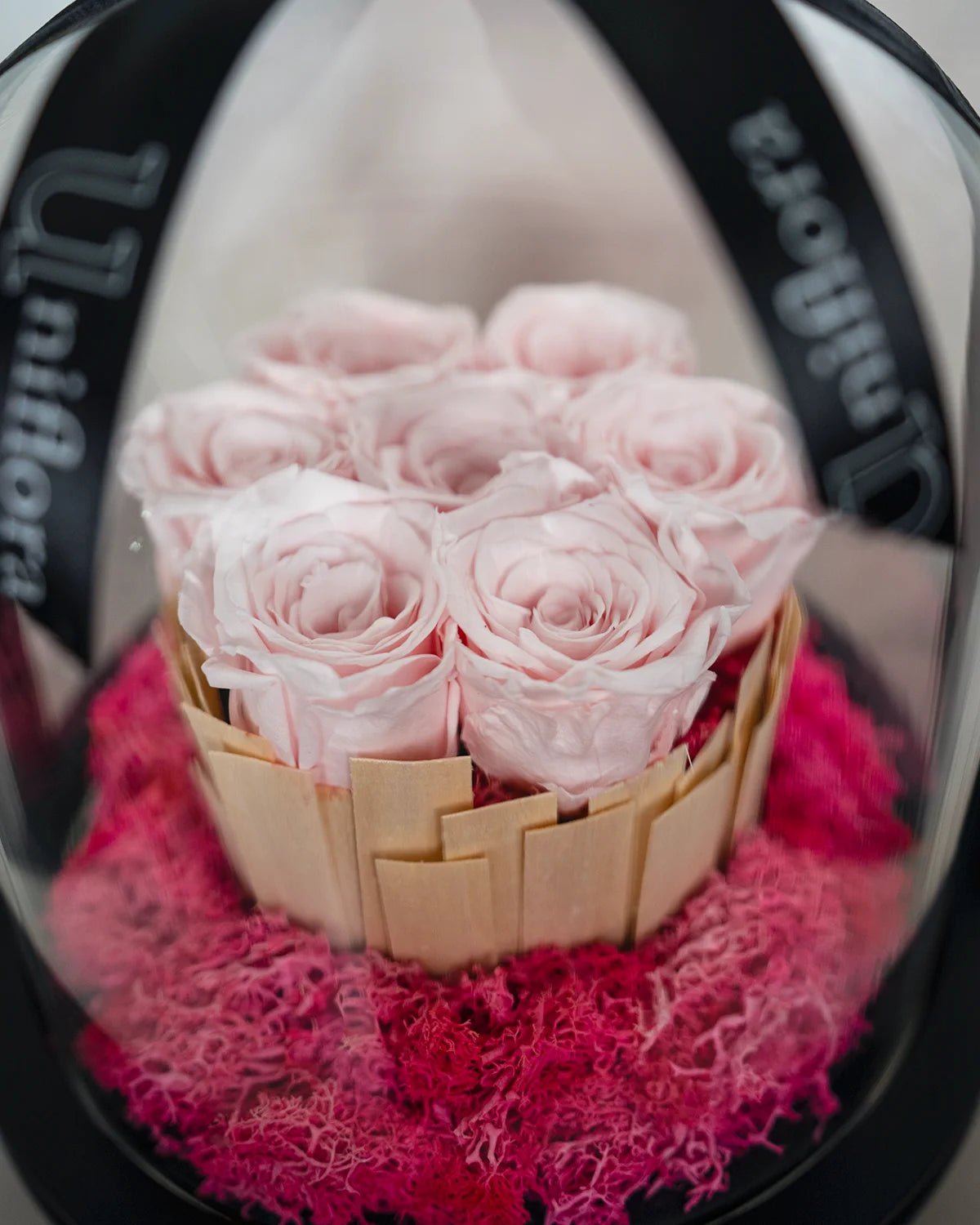 Pink Infinity Rose Glass Dome - Uniflora