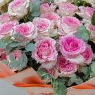 Pink Paradise - Uniflora