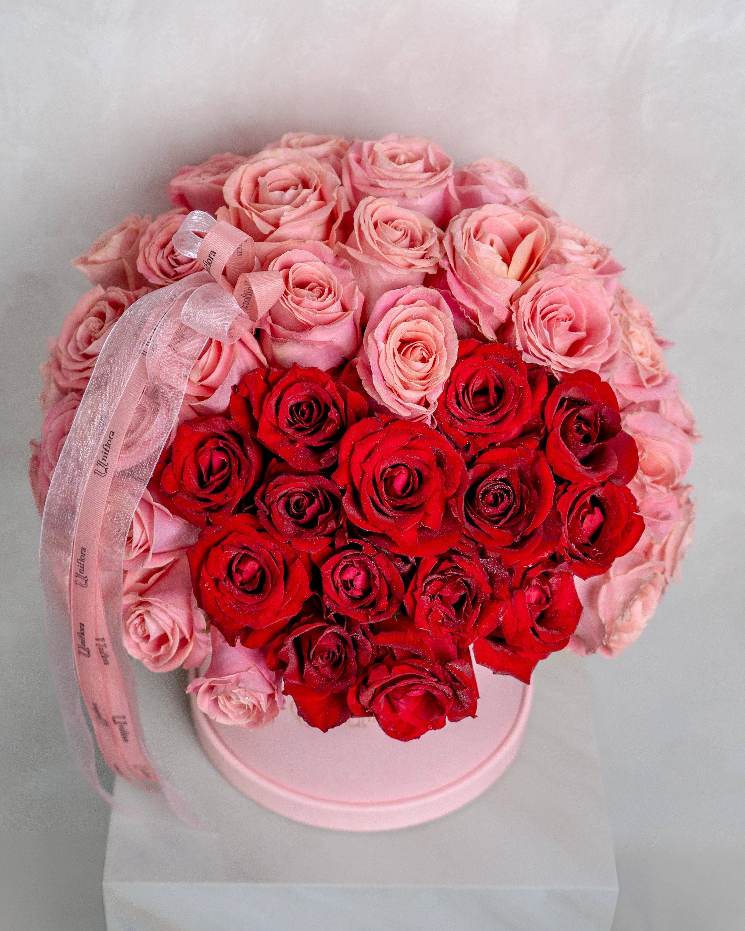 Pink Rose Love - Uniflora