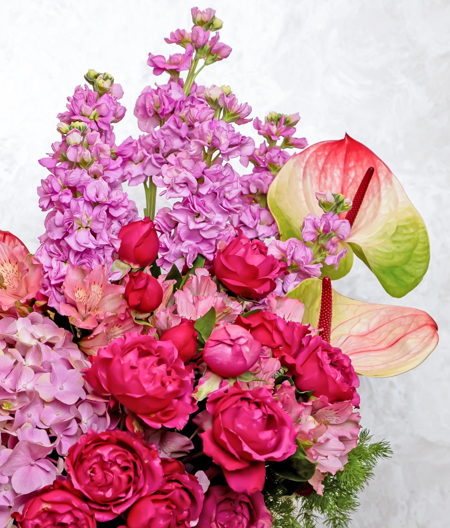 Plum Forever - Uniflora