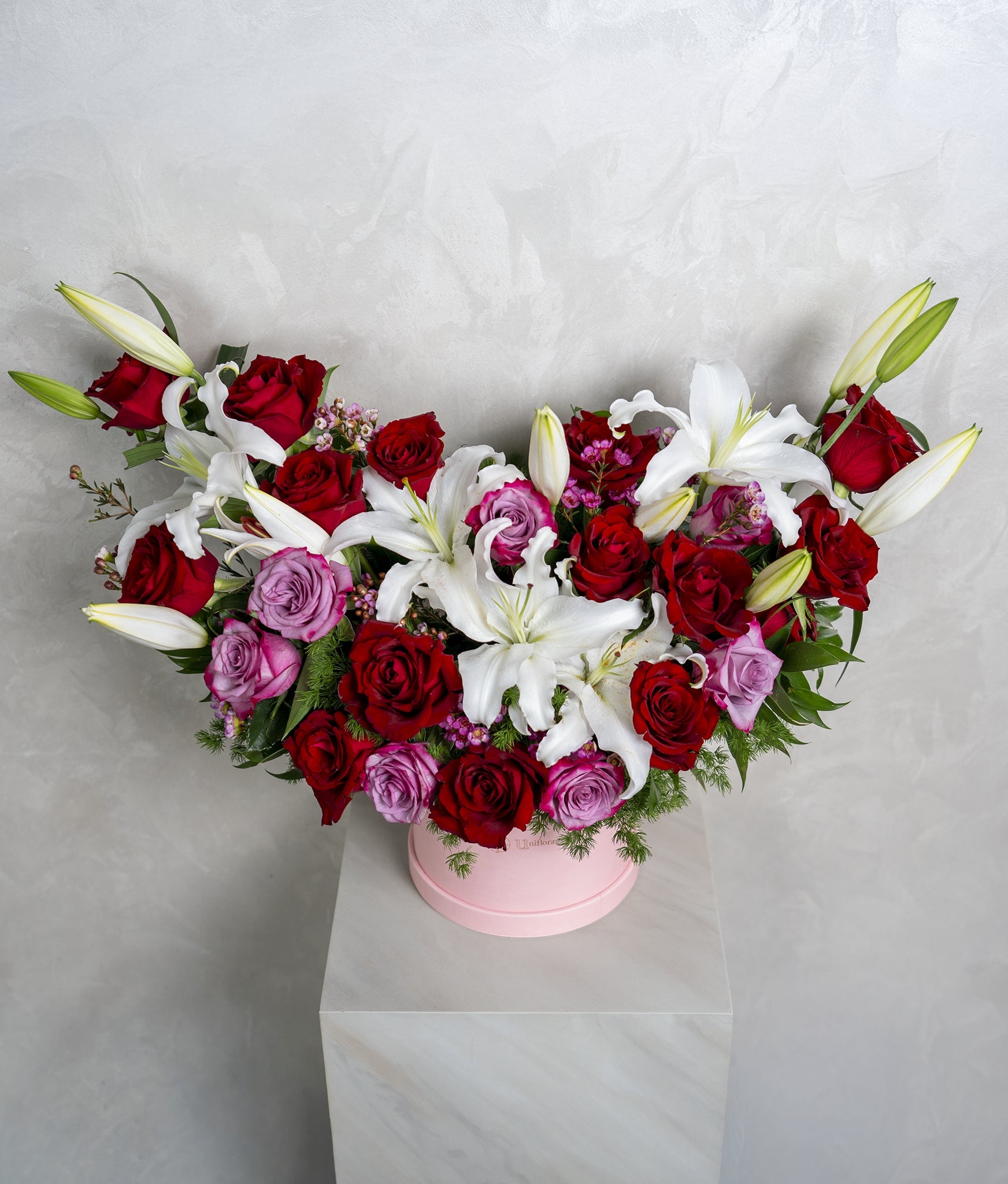 Pretty Lily - Uniflora
