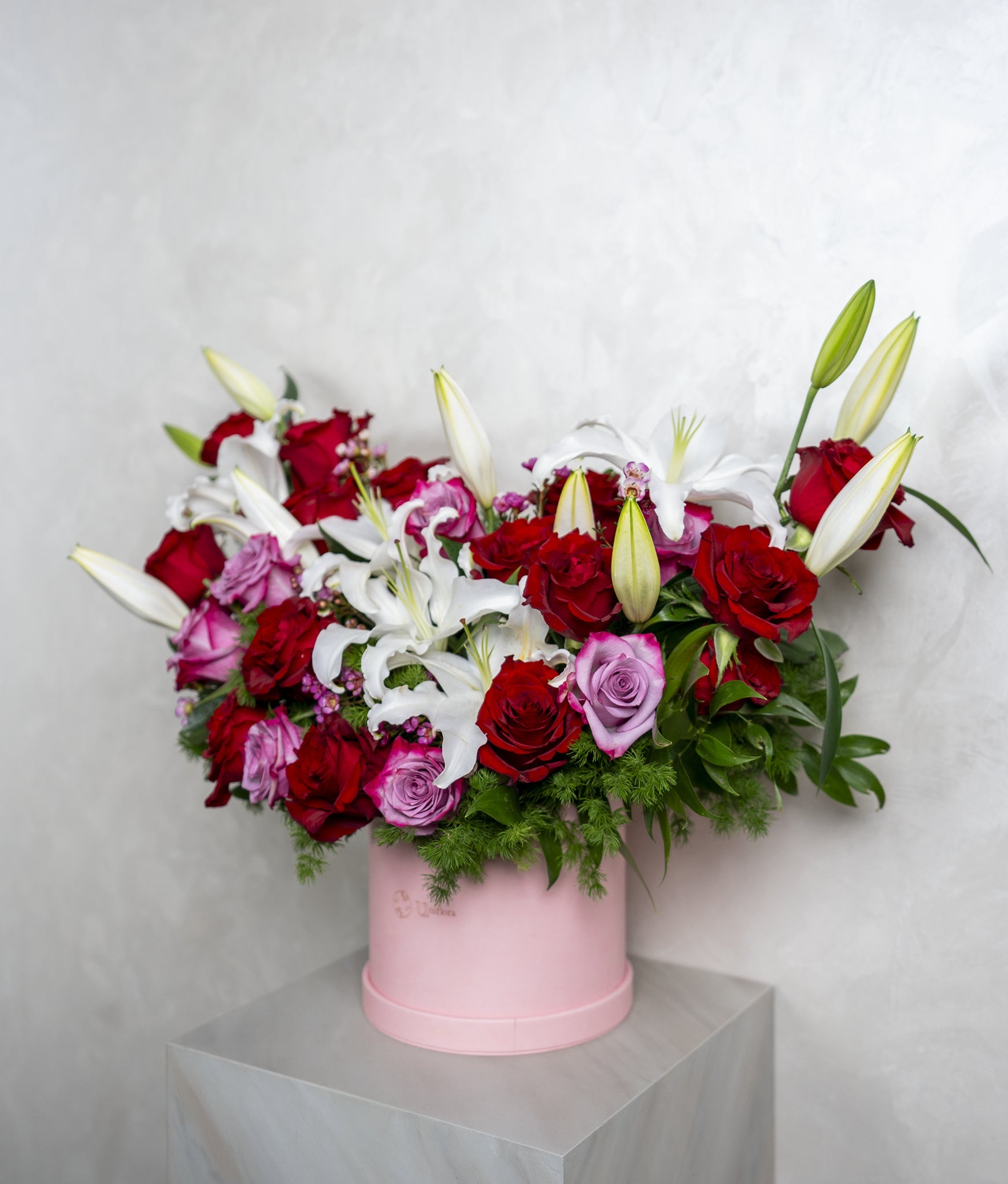 Pretty Lily - Uniflora