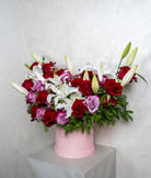 Pretty Lily - Uniflora