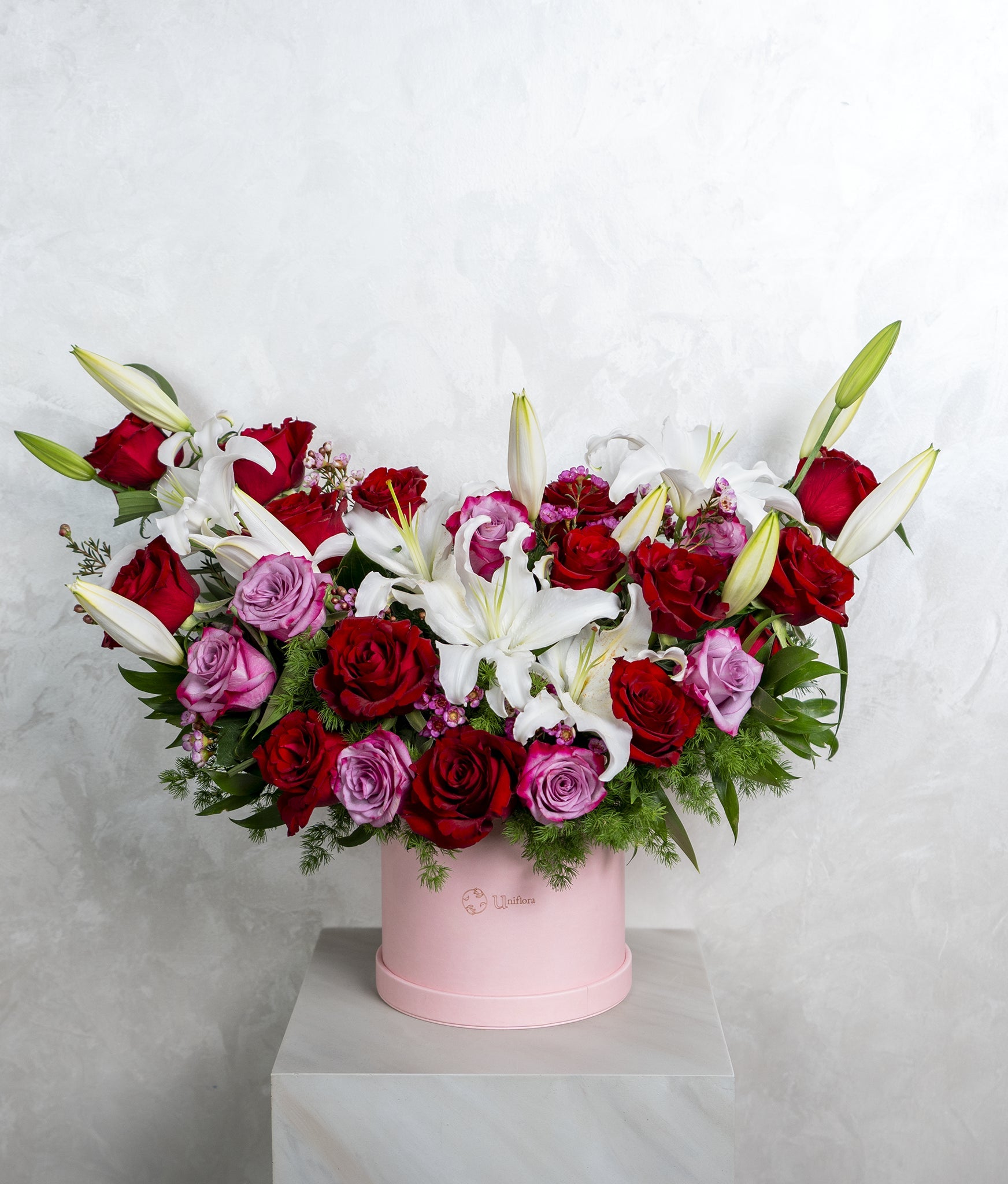 Pretty Lily - Uniflora