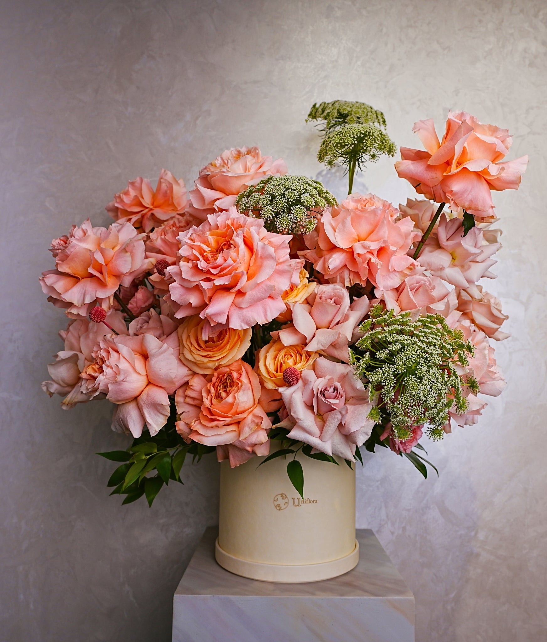 Princess - Uniflora
