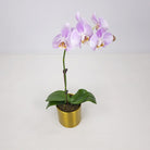 Purple Orchid in Metal Pot - Uniflora
