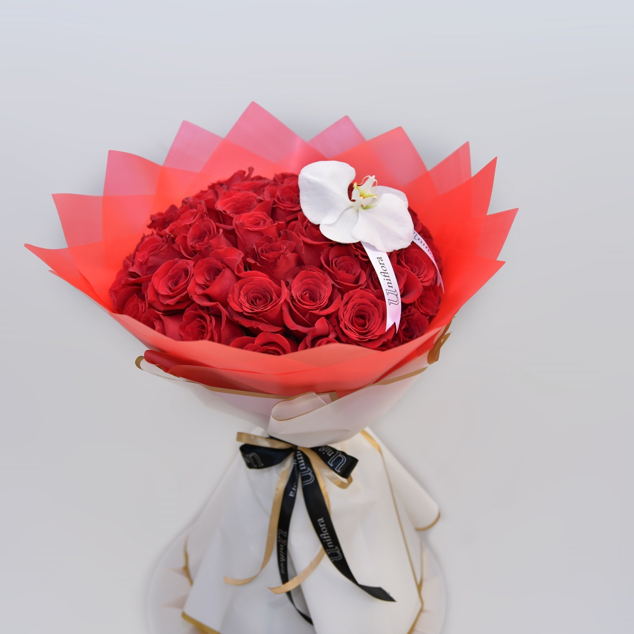 Red Rose Radiance - Uniflora