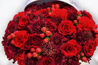 Scarlet Desire Box - Uniflora