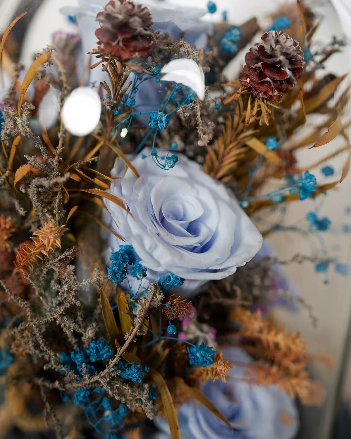 Sea Blue Infinity Rose Dome - Uniflora
