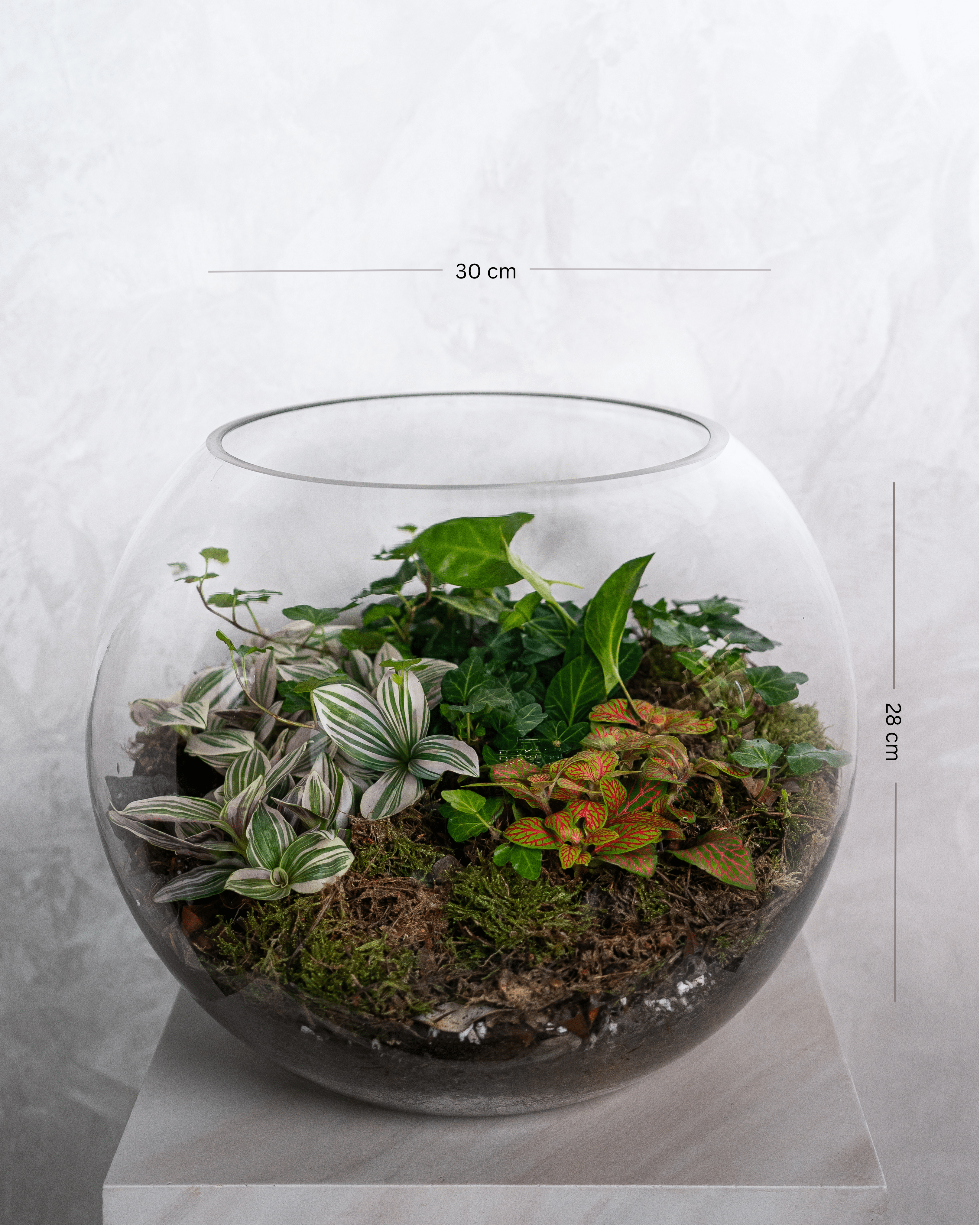 Soft Harmony Terrarium - Large - Uniflora