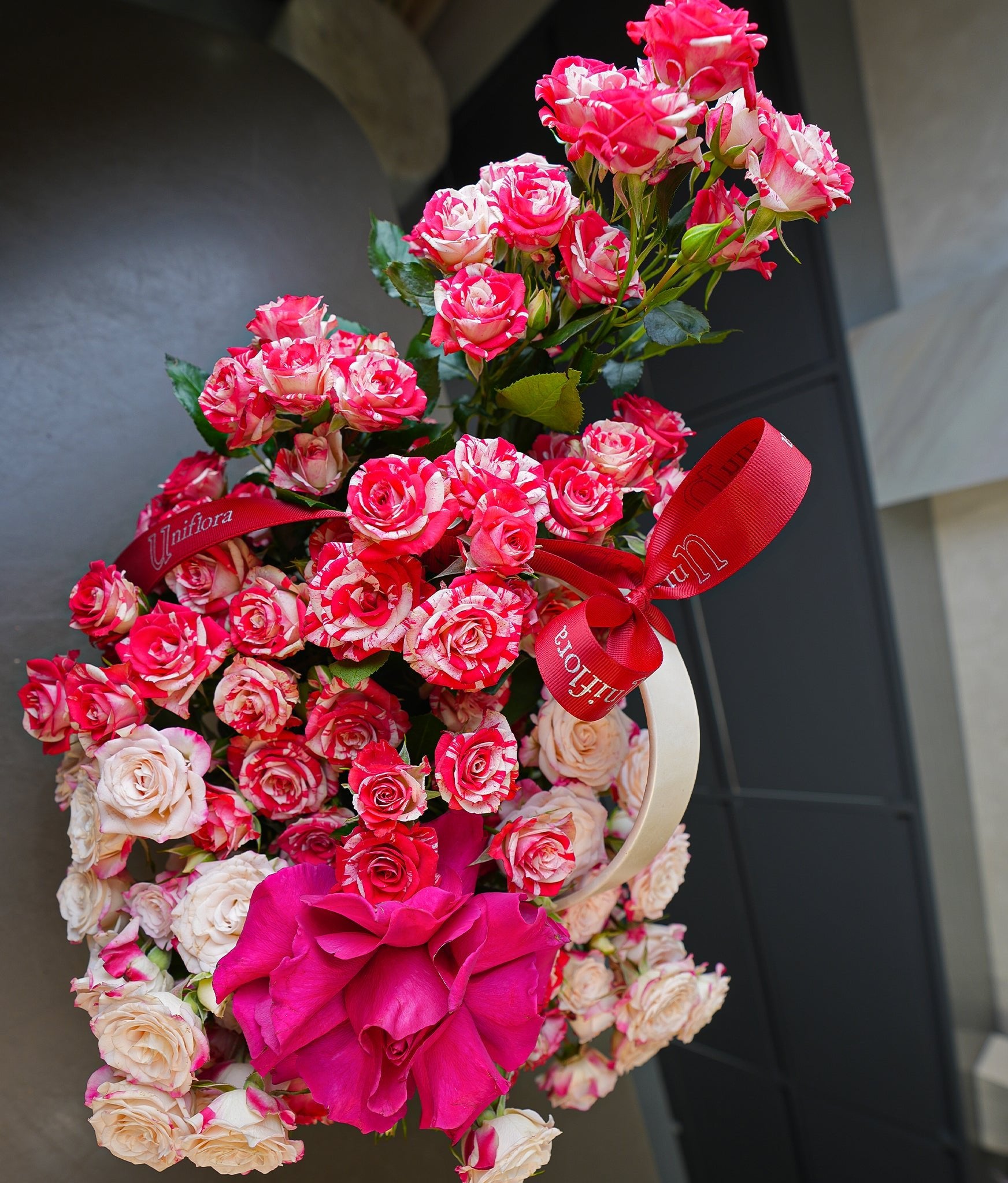 Strawberry Sorbet - Uniflora