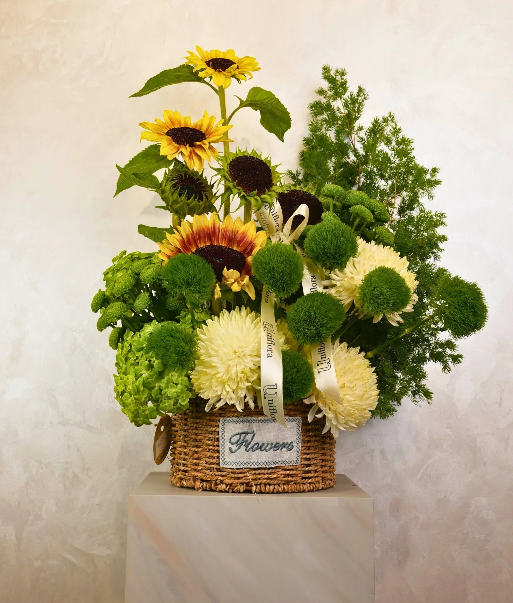 Sunny Harvest - Uniflora